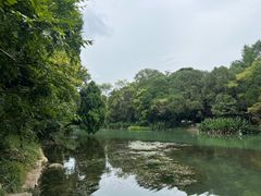 -花溪公园