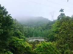 -广州市帽峰山景区