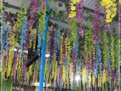 -马白开来特色羊排揪片子  (总店)