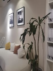 点击看大图 -JC·YOGA静禅瑜伽普拉提