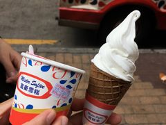 -富豪雪糕车流动点(尖沙咀店)
