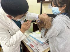 -艾贝尔宠物诊疗