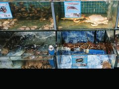 -范饭椰林川湘味海鲜·椰子鸡(三亚湾椰梦长廊店)