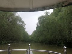 -大湾区中央湿地公园