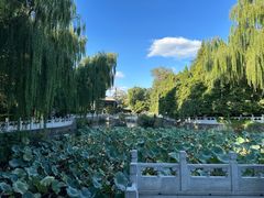 -北京积水潭医院-停车场