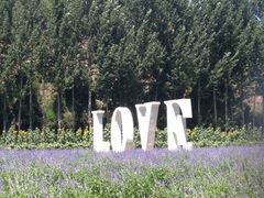 iphone_upload_pic-紫海香堤香草艺术庄园