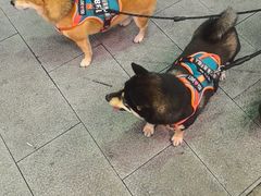 -明洞阿姨·韩式酱蟹烤肉·创意料理(方庄店)