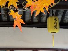 -常熟方塔园
