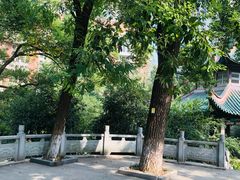 -长沙市青少年宫