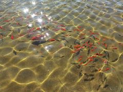 -开能健康科技园(川大路店)