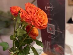 -MIO弥欧洋房西餐厅(中央大街店)