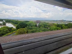 -大湾区中央湿地公园