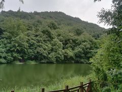 -白马涧龙池景区