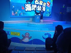 -石家庄海洋公园