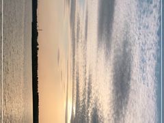 -丁香湖公园