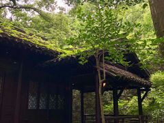 -法云安缦酒店