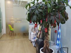 -童程童美少儿编程乐高机器人(凯德天府校区)