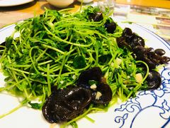 -赵记煎饼卷大葱(东岳店)