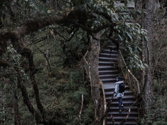 -龙苍沟森林公园