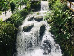 -藏龙百瀑风景区