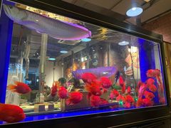 -釜山火炉韩式炭火烤肉(欧洲城店)