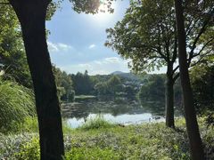-龙井壹号·茶缘山景宴(龙井村店)