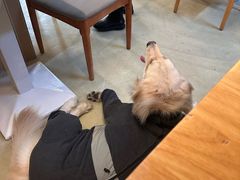 -小意思咖啡店(草桥店)