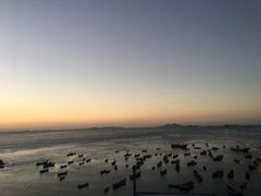 -枸杞岛