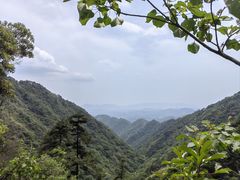 -东天目山风景区