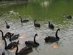 -南宁市动物园