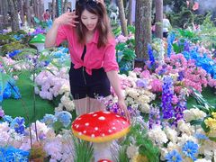 -洛阳白云山景区