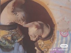 -海花锅盖烧烤店(怡馨家园店)