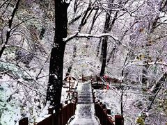 -终南山国家森林公园