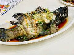 清蒸石斑鱼-南海渔家•海鲜•正宗海南菜(海棠湾店)
