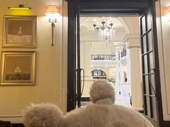 -Salon de Ville浦江汇(上海外滩华尔道夫酒店店)