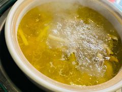 泉水鲜鸡汤-先机泉水鸡汤(南山老君洞店)