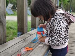 -长白岛森林公园