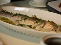 招牌清蒸钱塘江白条-柳莺湖上·湖景餐厅·江南菜(西湖店)
