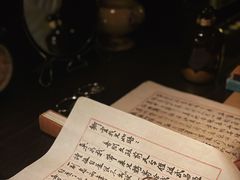 -武汉知音号