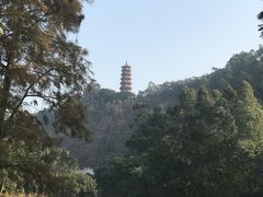 -南沙蒲洲花园