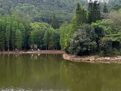 -滴水岩森林公园