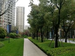 小区环境-仁恒西郊花园