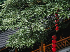-杭州上天竺法喜讲寺