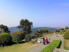 -铁山坪森林公园