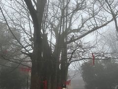 -西湖风景区十里琅珰-五云山