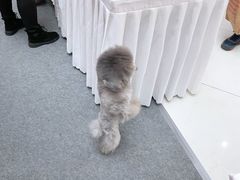 -方恒购物中心(望京小街店)