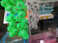 -曲阳花鸟市场(曲阳路店)