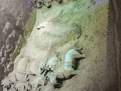 -秦始皇帝陵博物院-丽山园