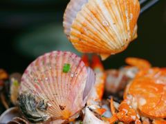 -好兄弟郭巨海鲜(天一阁店)