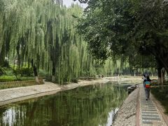 -丰台科技园生态主题公园